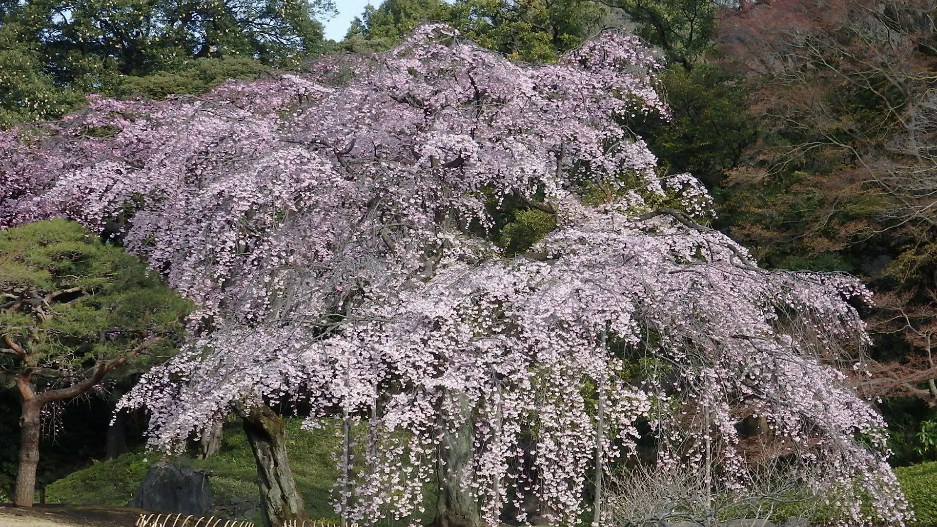 Koraku Garden Hotel Tokio